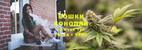 ПСИЛОЦИБИНОВЫЕ ГРИБЫ Лабытнанги