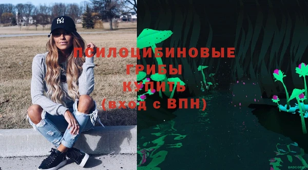 ПСИЛОЦИБИНОВЫЕ ГРИБЫ Лабытнанги