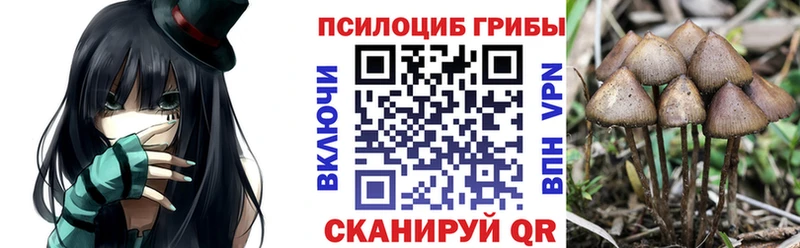 Псилоцибиновые грибы Magic Shrooms  сколько стоит  Циолковский 